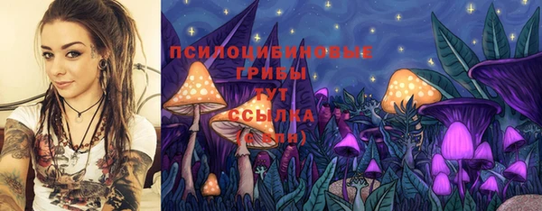 крисы Вяземский